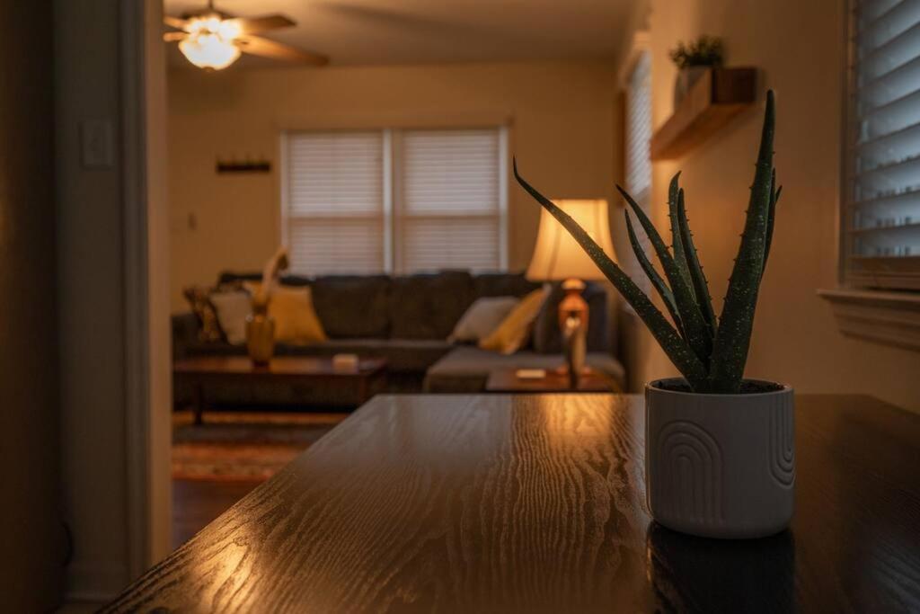 Cozy 3 Bedroom Cottage With Huge Fenced-In Yard Raleigh Exteriér fotografie